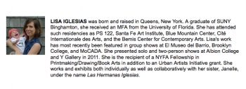 LISA: FINE ARTS WORK CENTER FELLOWSHIP